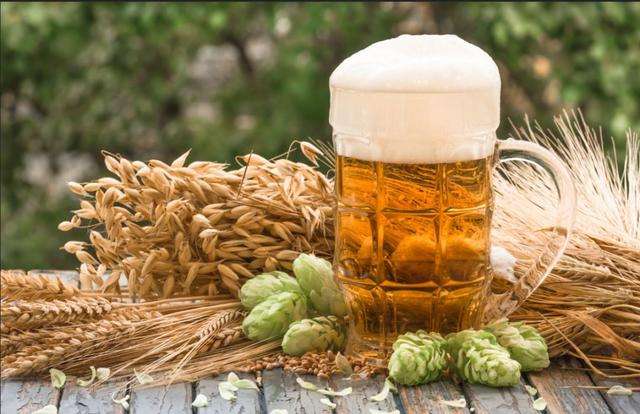 豪魯精釀啤酒原料供應(yīng) 豪魯精釀啤酒原料供應(yīng)